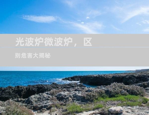 光波炉微波炉，区别危害大揭秘
