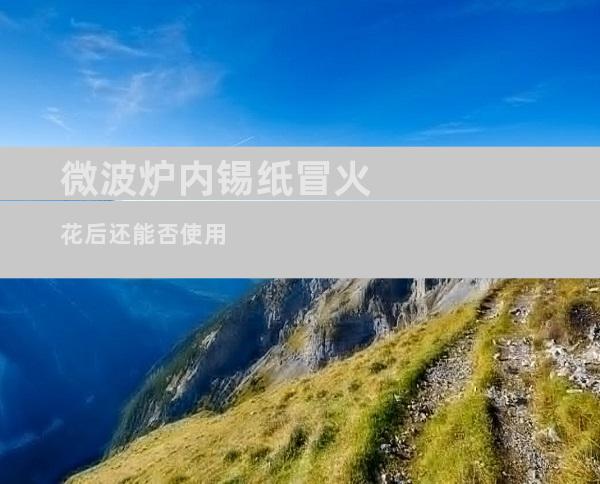 微波炉内锡纸冒火花后还能否使用