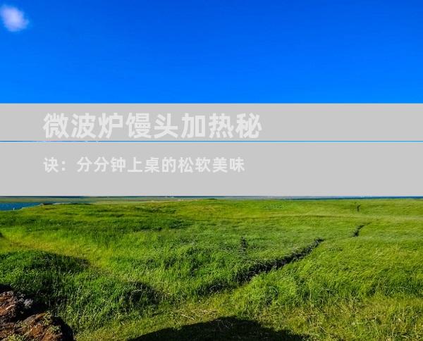 微波炉馒头加热秘诀：分分钟上桌的松软美味