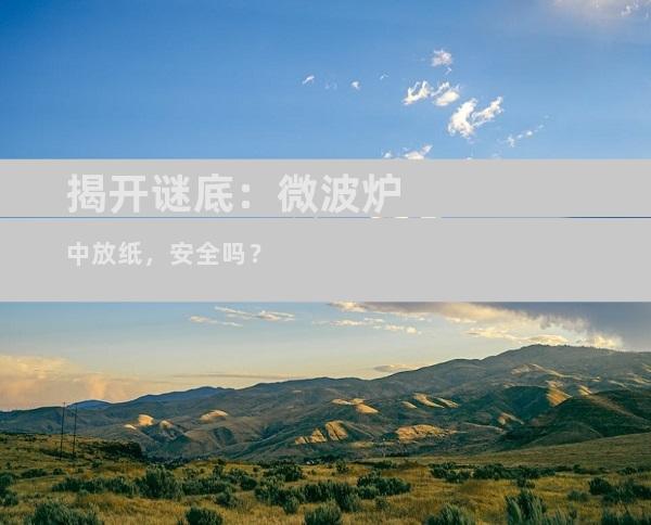 揭开谜底：微波炉中放纸，安全吗？
