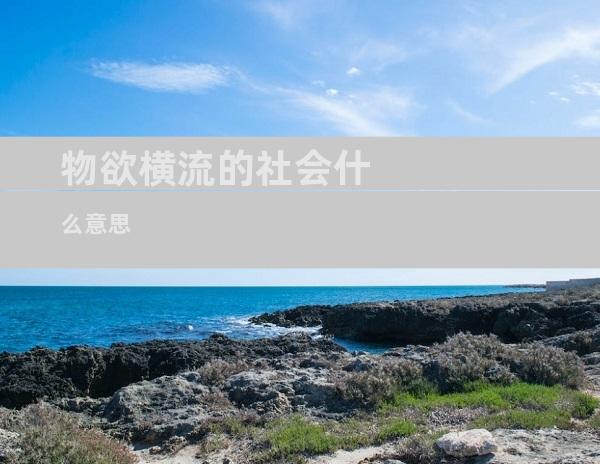 物欲横流的社会什么意思