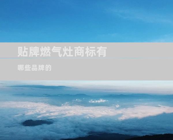 贴牌燃气灶商标有哪些品牌的