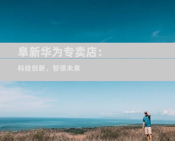 阜新华为专卖店：科技创新，智领未来