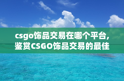 csgo饰品交易在哪个平台,鉴赏CSGO饰品交易的最佳平台